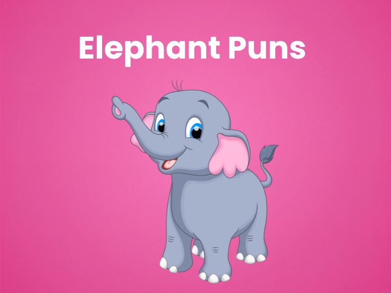 Elephant-Puns