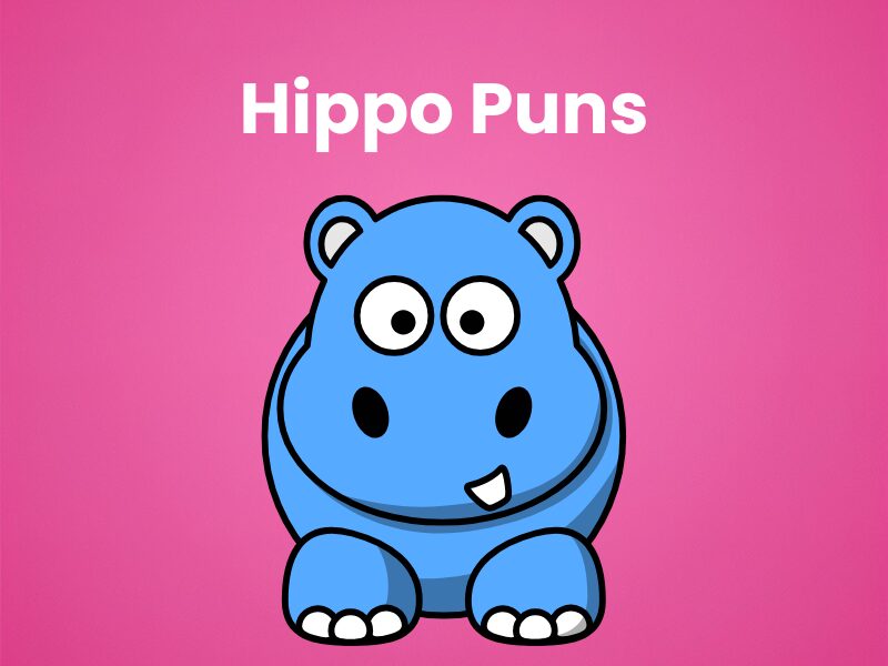 Hippo-Puns