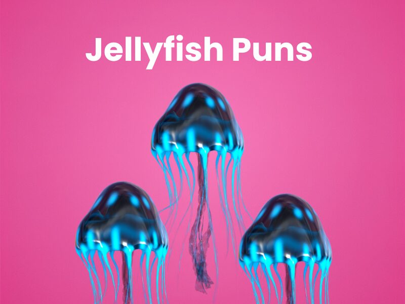 Jellyfish-Puns