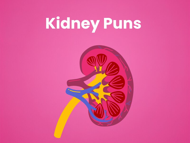 Kidney-Puns