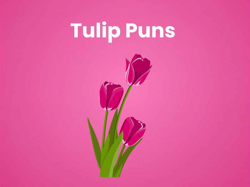 Tulip-Puns