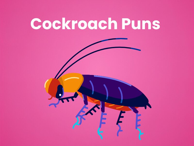 Cockroach-Puns