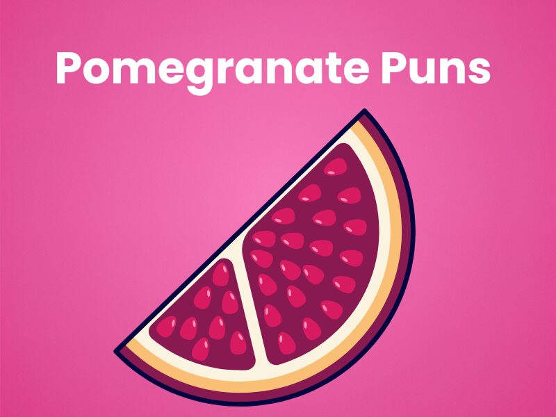 Juicy Pomegranate-Puns