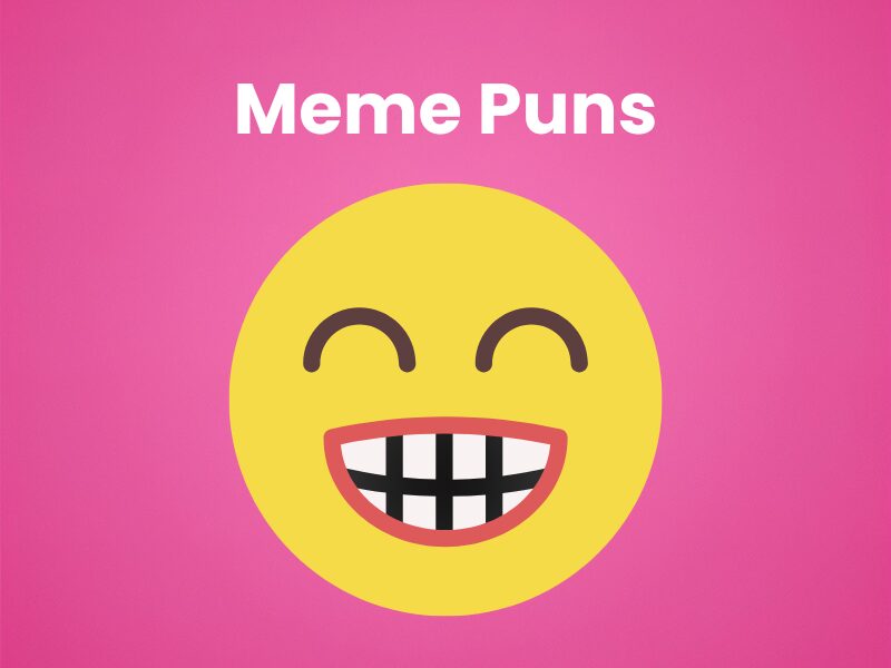 Meme-Puns