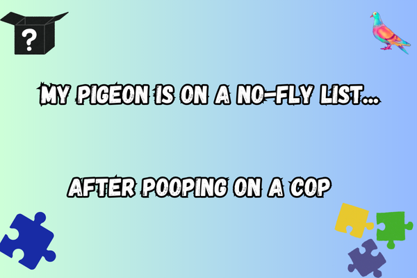 Cute Pigeon Pun