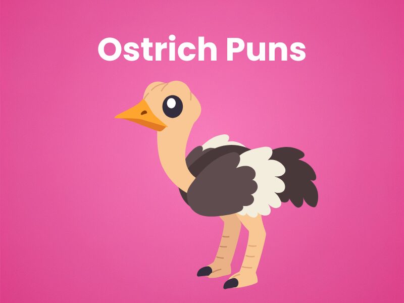 Ostrich-Puns