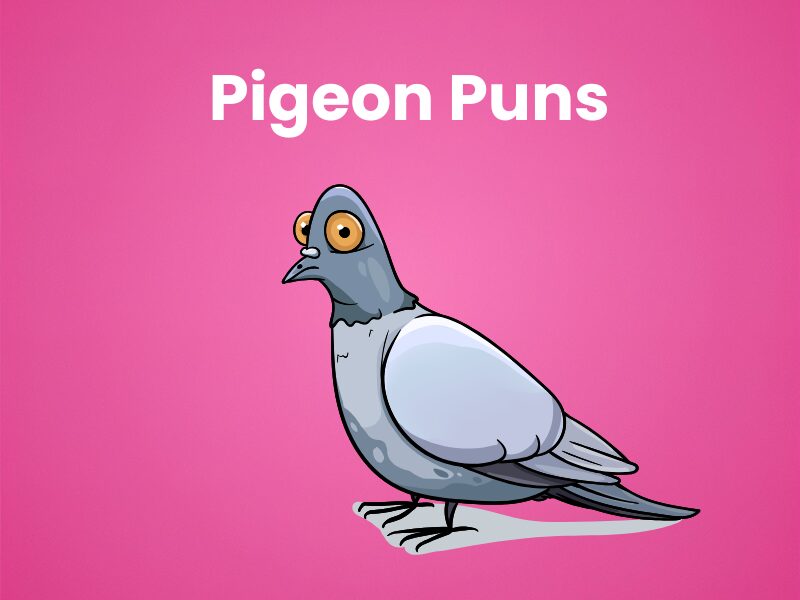 Pigeon-Puns