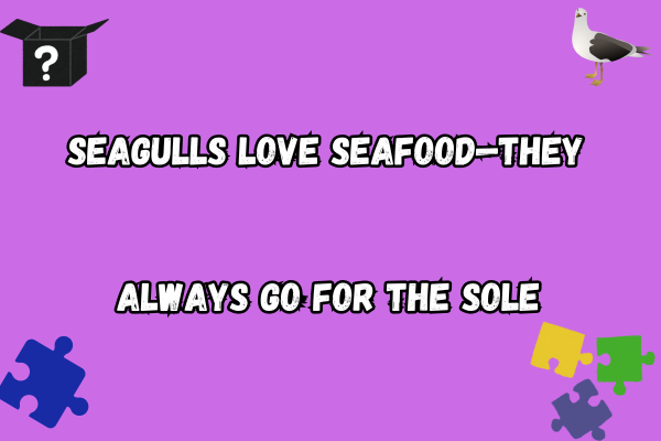 Chilling seagull puns