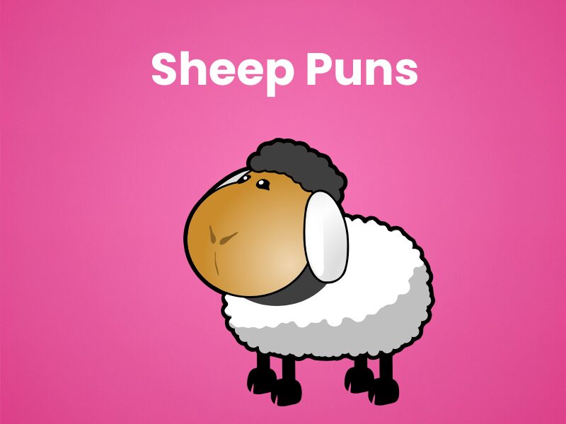 sheep puns