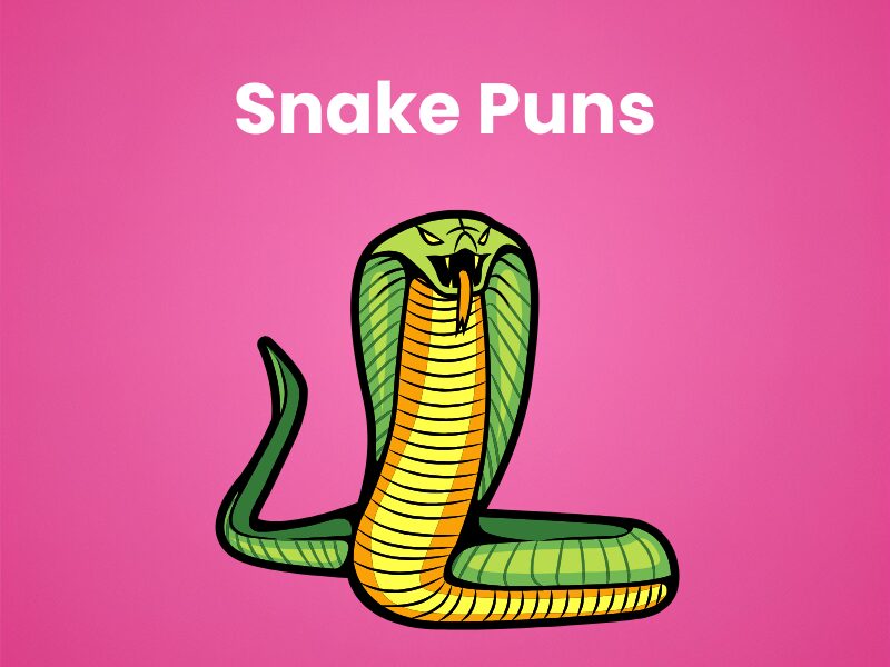 Snake-Puns