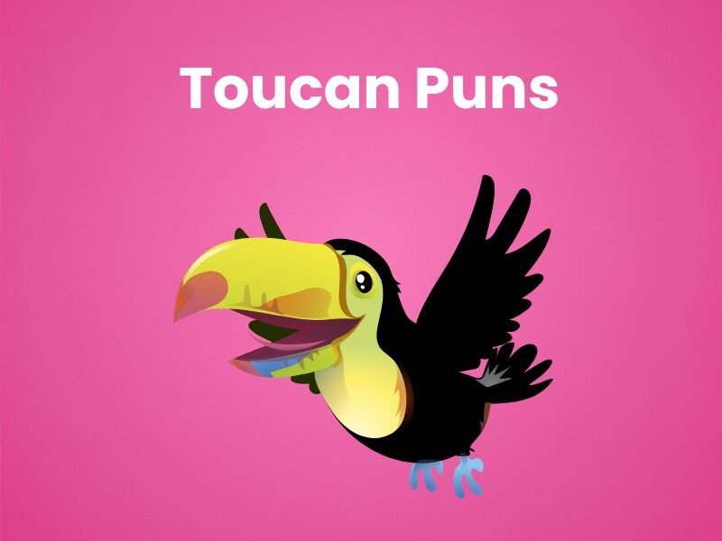 Cute Toucan Puns
