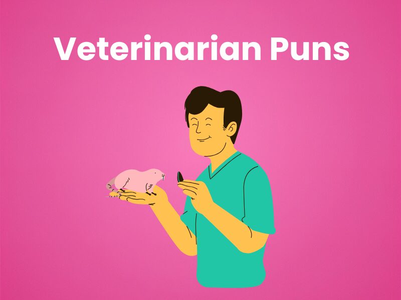 Veterinarian-Puns
