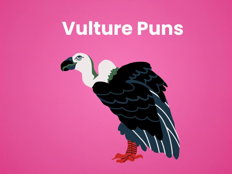 Vulture-Puns