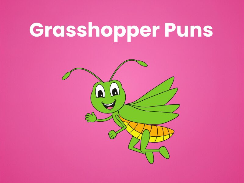Grasshopper Puns