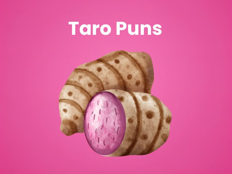 Taro-Puns