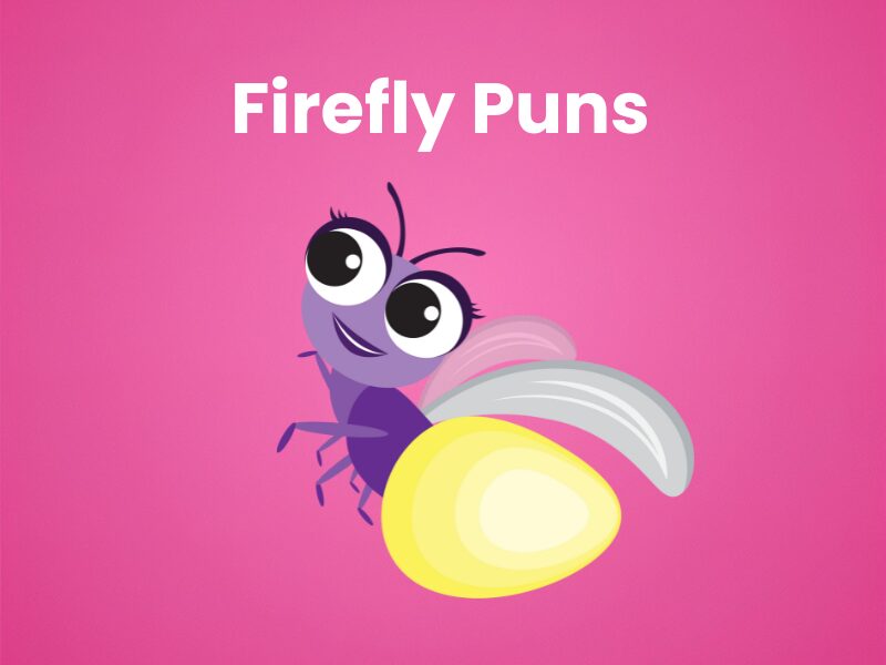 Firefly-Puns