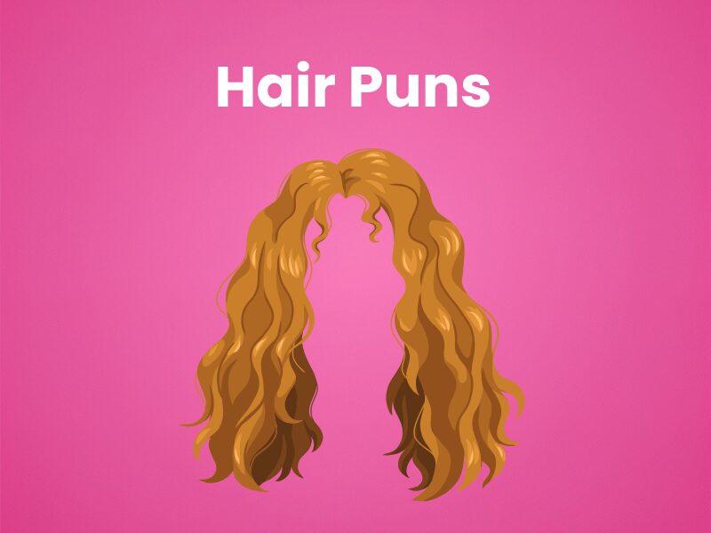 Silky Hair Pun Image