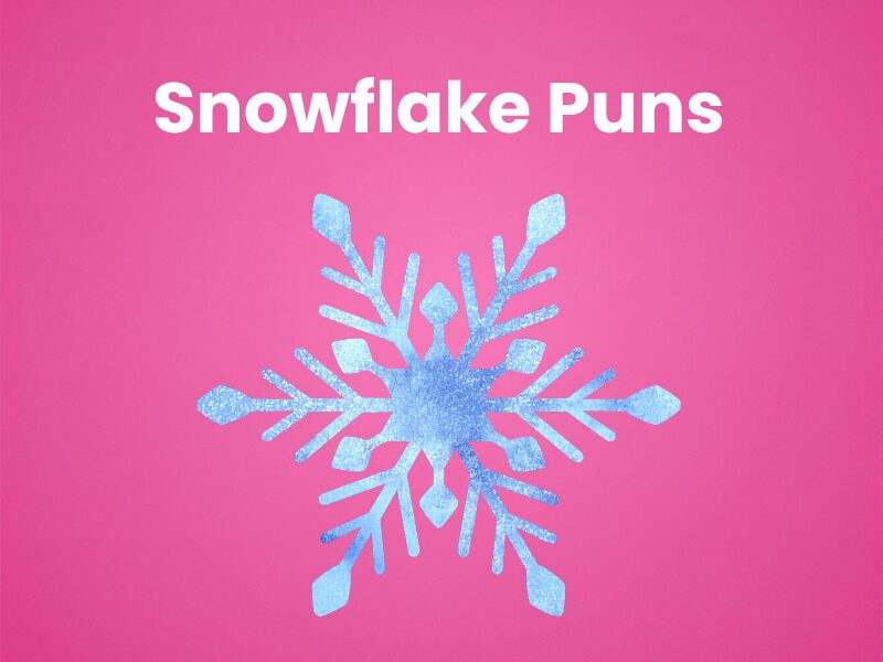 Icy Snowflake Pun