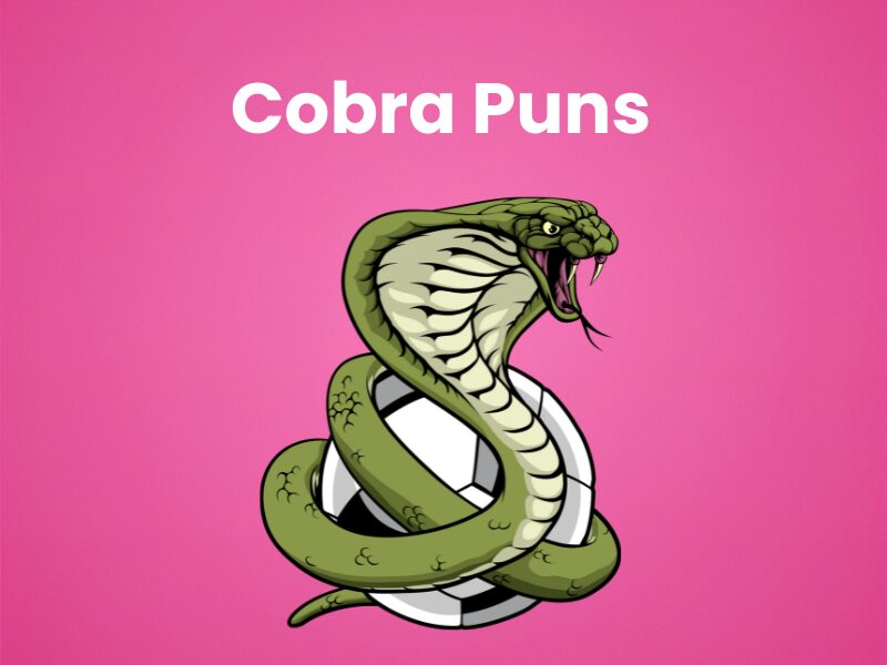210+ Cobra Puns So Funny You’ll Hiss With Laughter