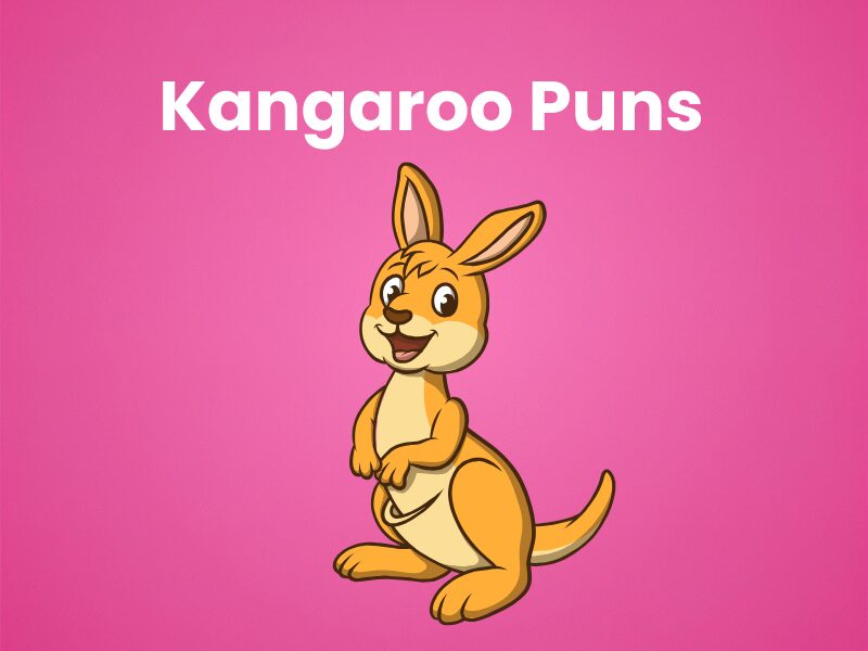 Best Kangaroo Puns