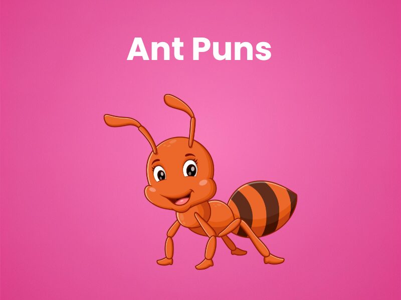 Small Ant Pun