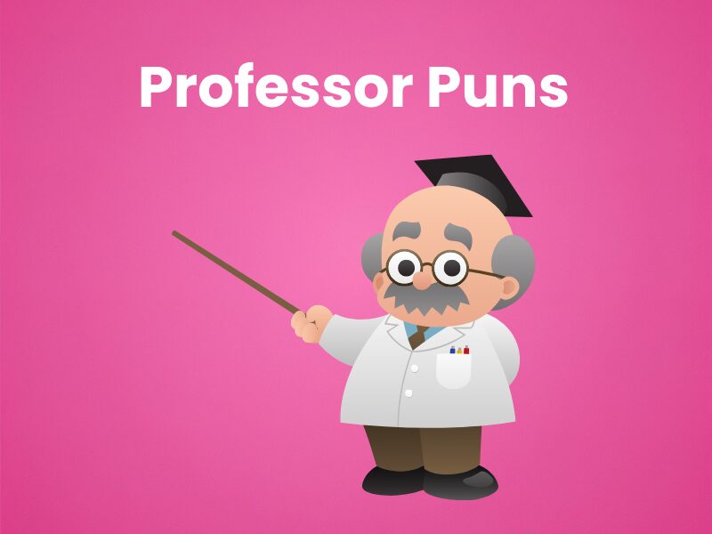 Best Professor Pun