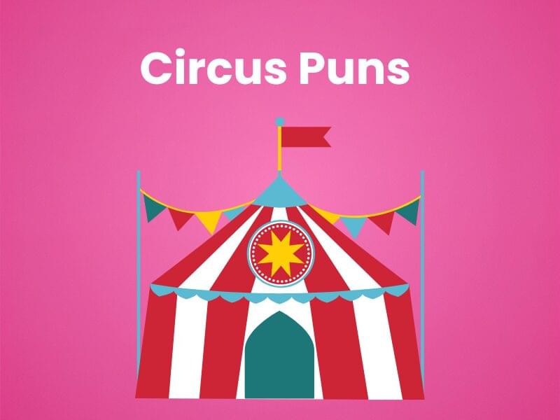 Circus Puns