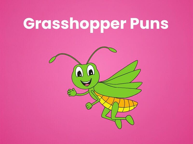 210 Grasshopper Puns That Hop Right Into Your Heart!