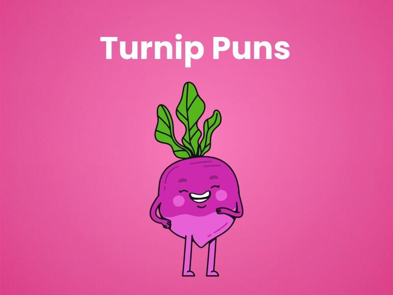 210 Turnip Puns That’ll Brighten Your Day and Beet the Blues!