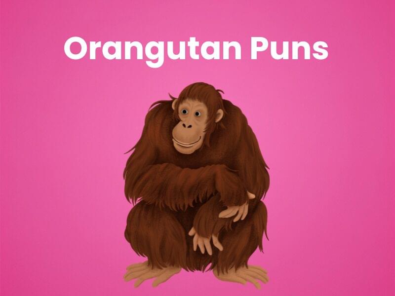 240 Punny Orangutan Lines That Are Ape-solutely Fun
