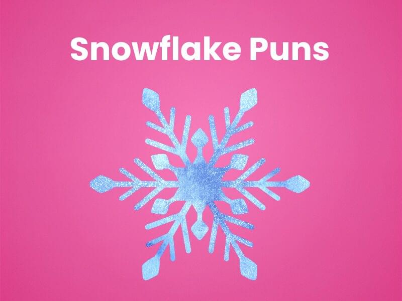 210+ Icy Snowflake Puns That Are Pure Fun ❄️
