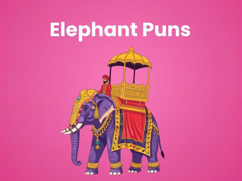 205+ Elephant Jokes &amp; Puns to Brighten Your Day