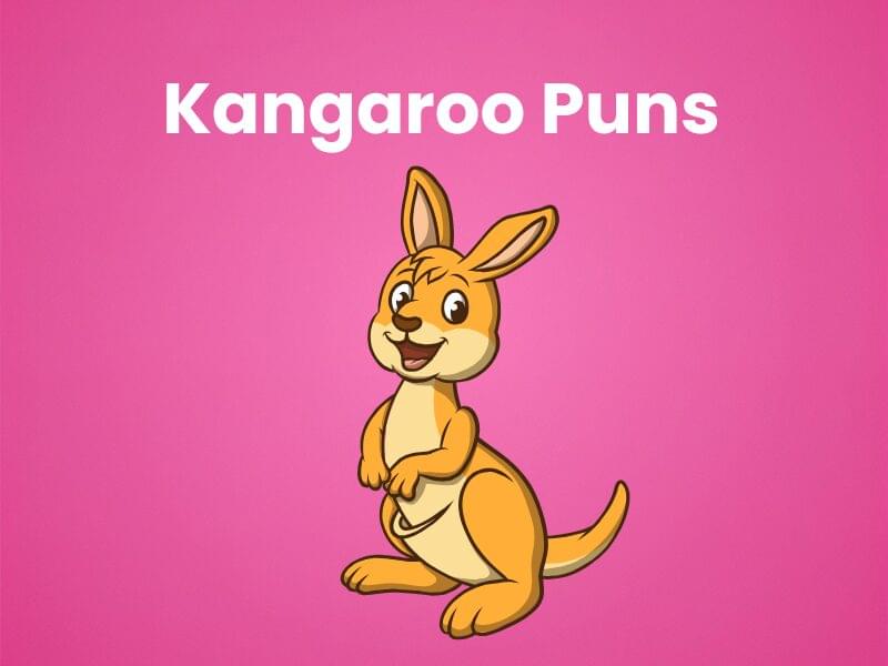 210+ Kangaroo Puns That’ll Have You Laughing